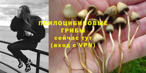 дурь Балахна