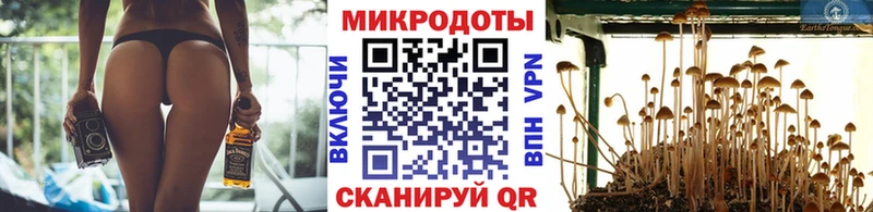 мориарти клад Семилуки blacksprut ссылки Галлюциногенные грибы Psilocybine cubensis купить наркотики цена